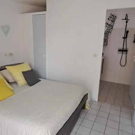 Barcares Ile Des Pecheurs Dernieres Disponibilites Mas Classe 4 Etoiles Renove Avec Gout 6 A 8 Couchages Libre Week-End Du 19 Piscine Ouverte Possibilite 1 A 2 Nuits